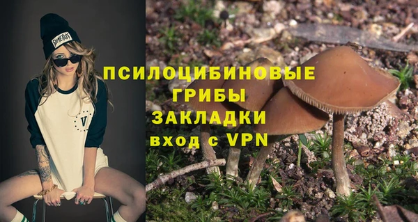 соль ск Медногорск