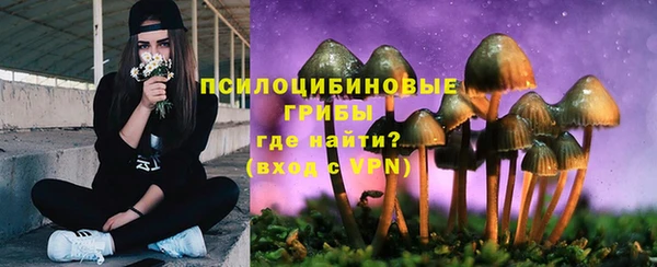 соль ск Медногорск