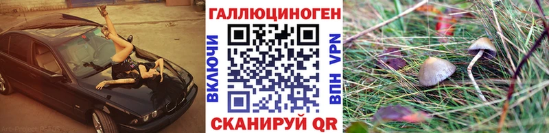 Псилоцибиновые грибы Magic Shrooms  наркота  Тамбов 